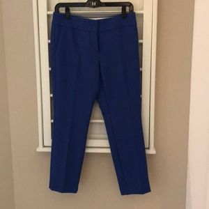Loft Petite Marisa dress pant